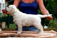 /album/fotogalerie/arnost-postoj-jpg/